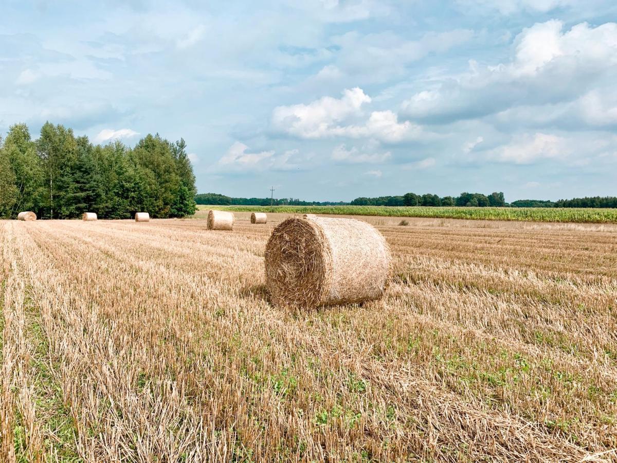 Agroturystyka Sielanka Przasnysz Exteriér fotografie
