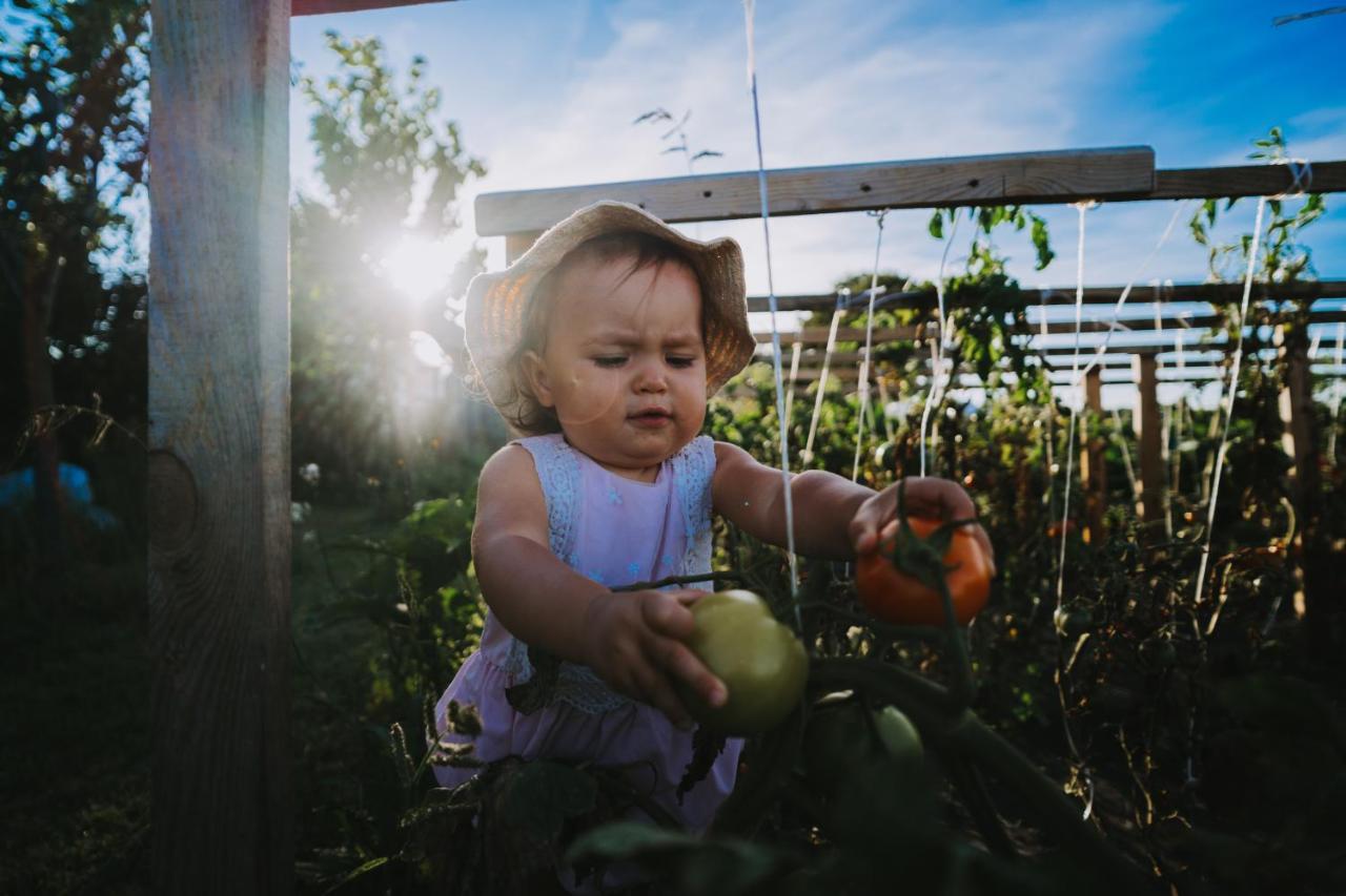 Agroturystyka Sielanka Przasnysz Exteriér fotografie